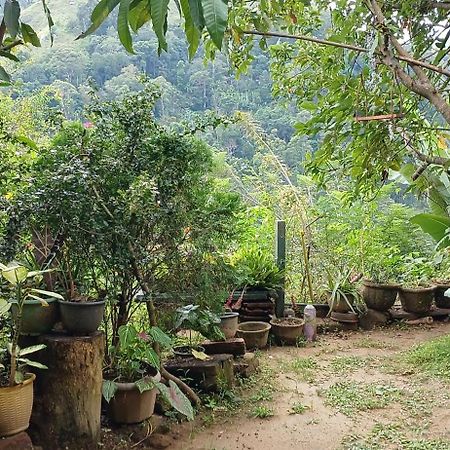 Bed and Breakfast Pasan Guest Ella Exterior foto