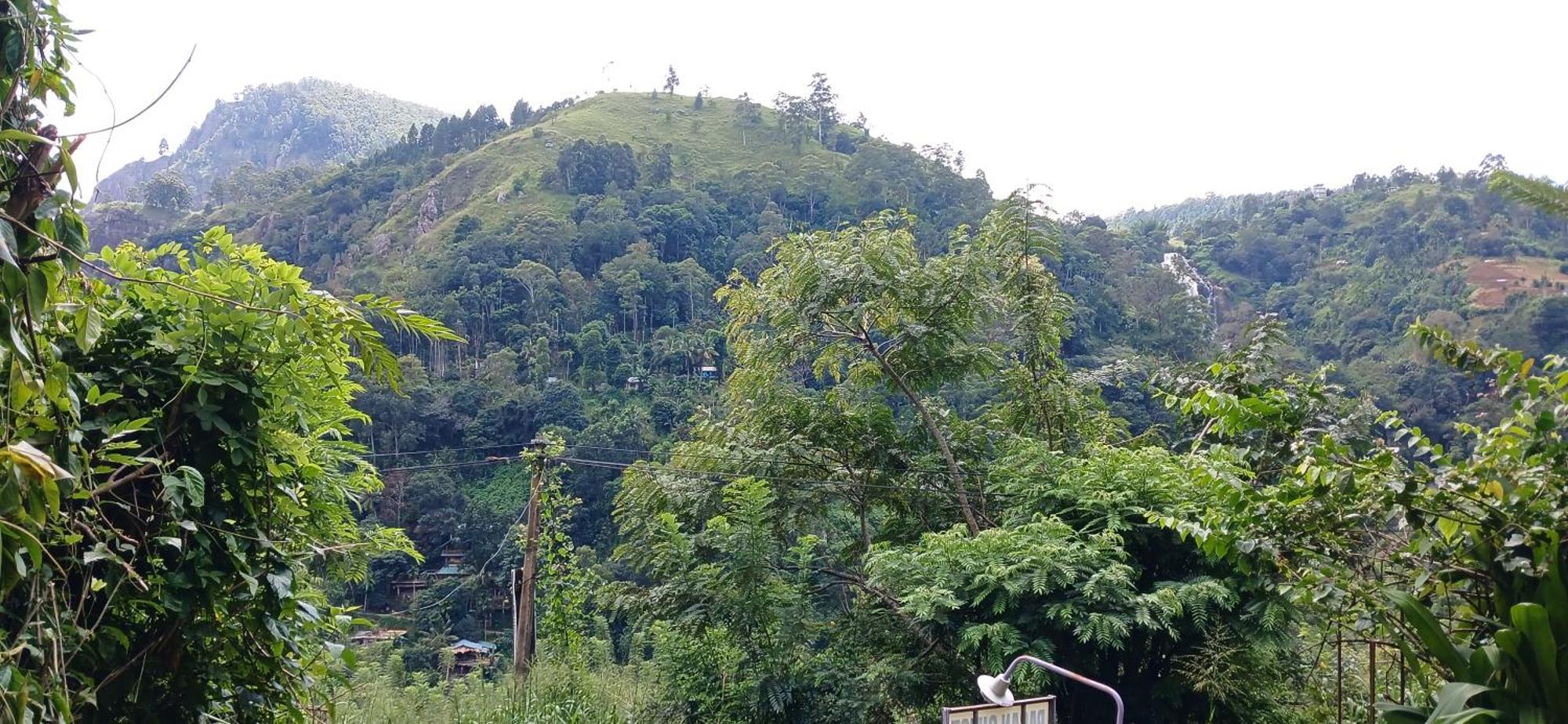 Bed and Breakfast Pasan Guest Ella Exterior foto