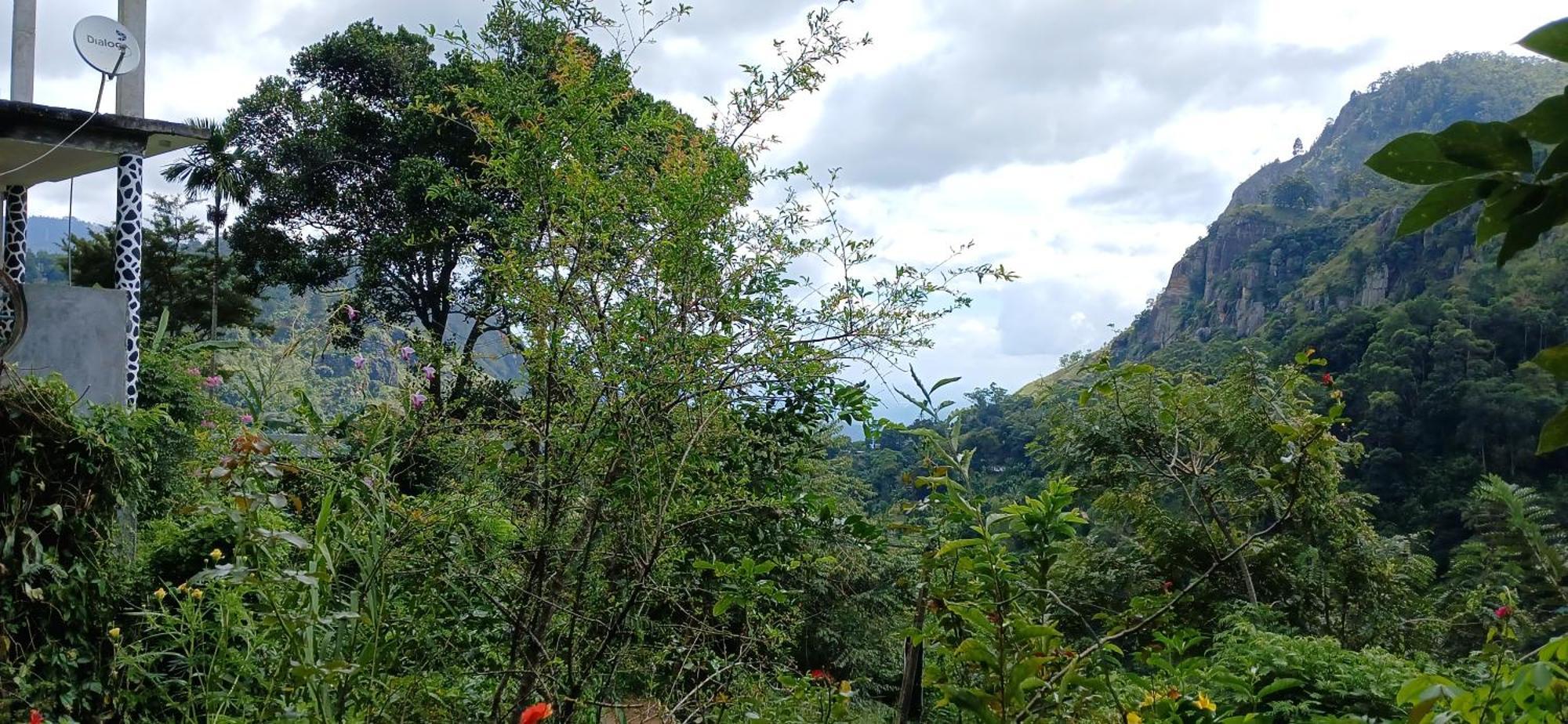 Bed and Breakfast Pasan Guest Ella Exterior foto