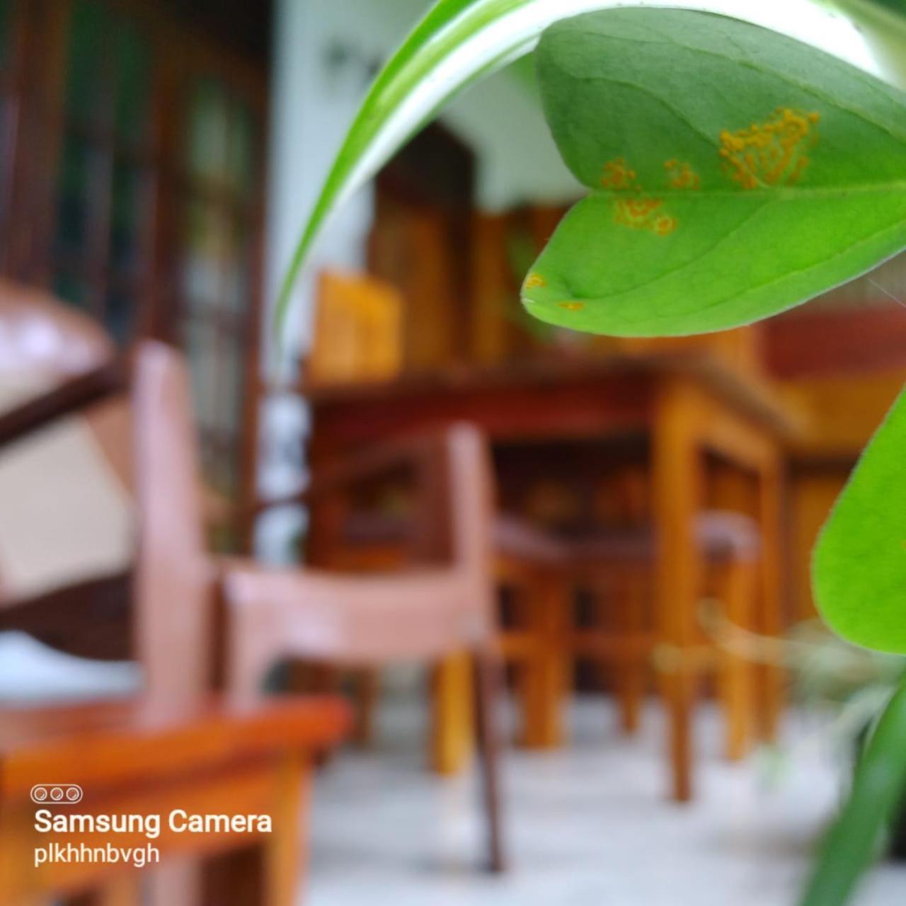 Bed and Breakfast Pasan Guest Ella Exterior foto