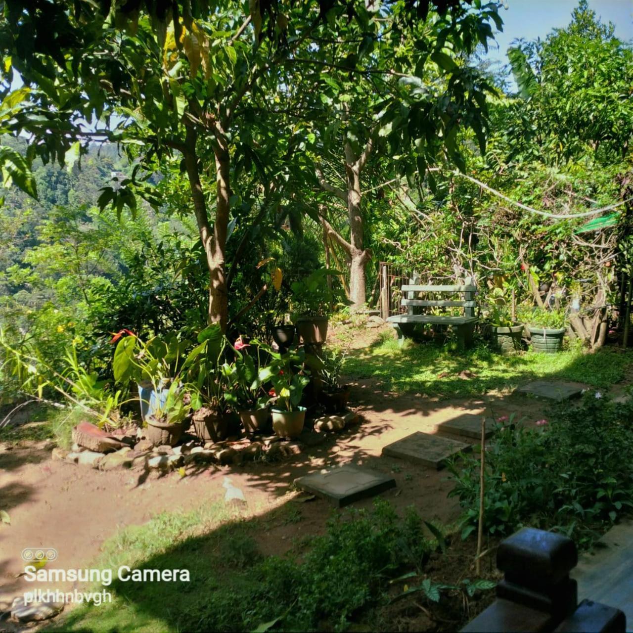 Bed and Breakfast Pasan Guest Ella Exterior foto