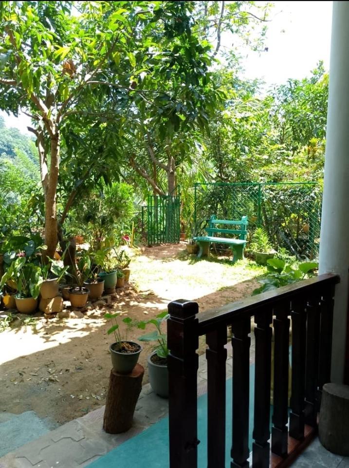 Bed and Breakfast Pasan Guest Ella Exterior foto