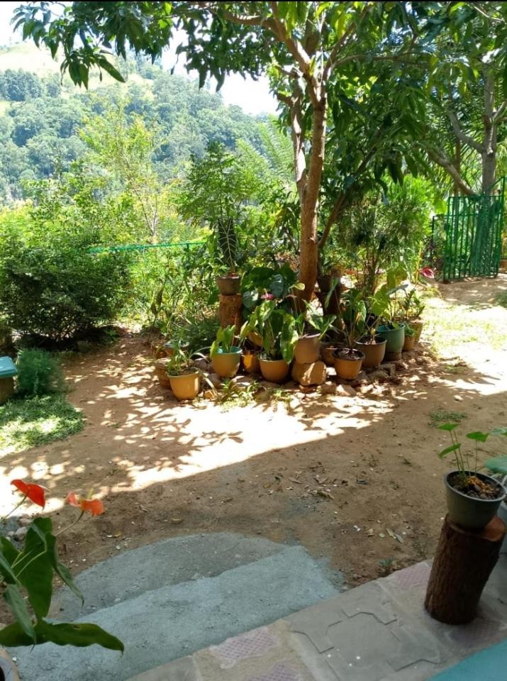 Bed and Breakfast Pasan Guest Ella Exterior foto