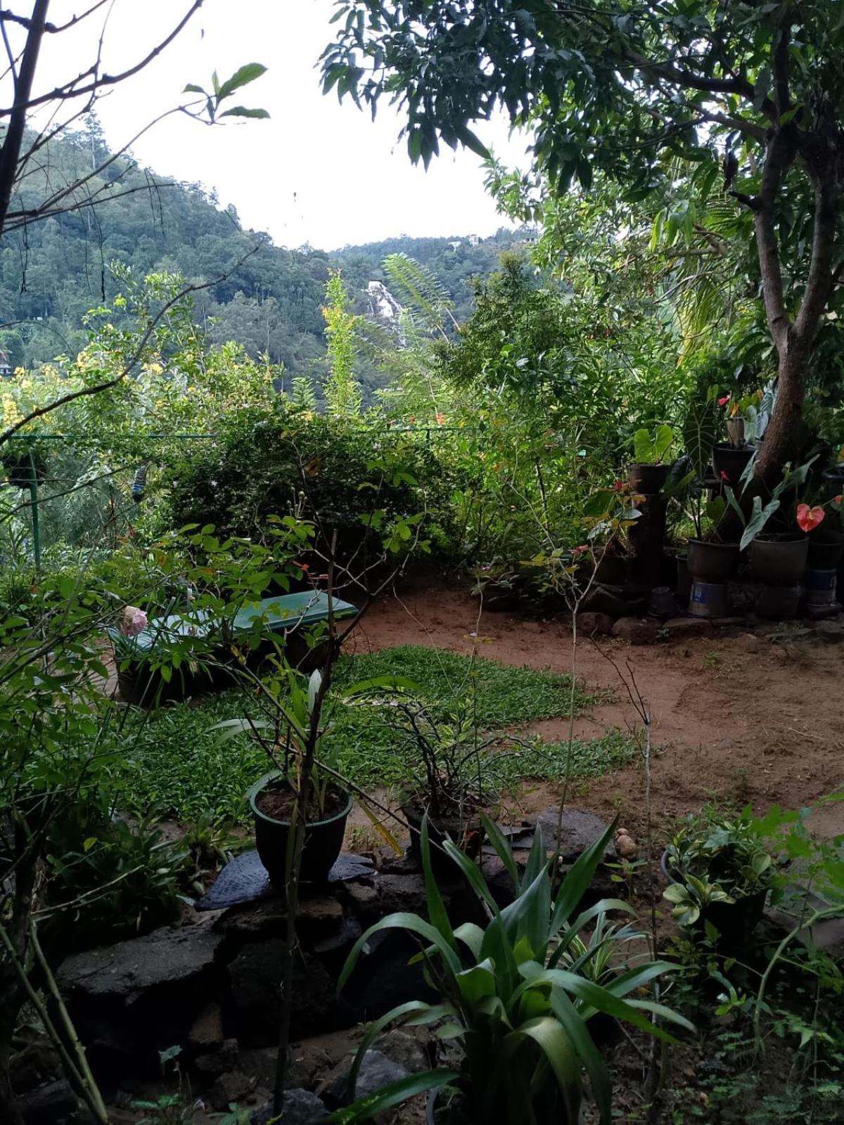 Bed and Breakfast Pasan Guest Ella Exterior foto